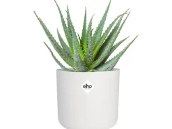 Elho Blumentopf B.For Soft Rund Ø 18,3 cm Weiß