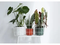 Elho Blumentopf B.For Soft Rund Ø 18,3 cm Weiß