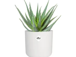 Elho Blumentopf B.For Soft Rund Ø 16 cm Weiß