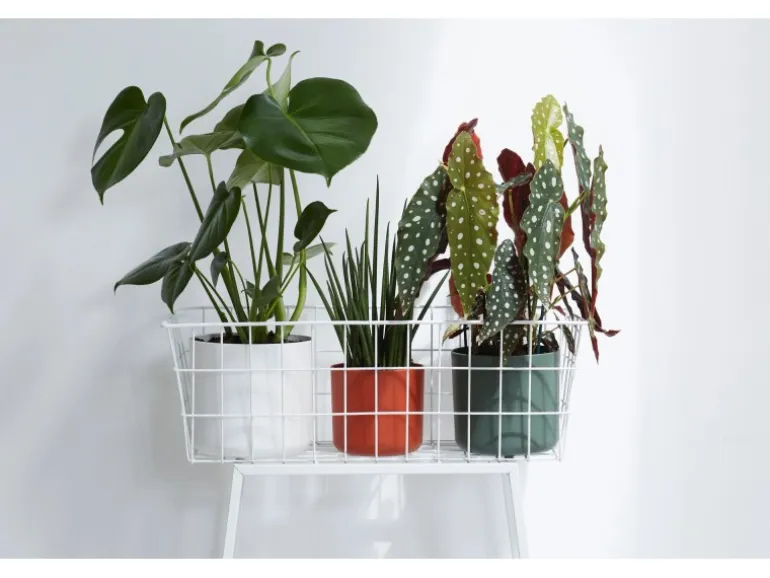 Elho Blumentopf B.For Soft Rund Ø 16 cm Weiß