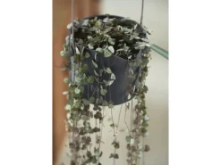 Elho Blumentopf B.For Swing Ø 18 cm Anthrazit