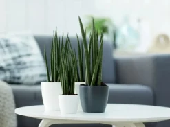 Elho Blumentopf Brussels Rund Mini Ø 10,5 weiß