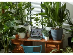 Elho Blumentopf Brussels Rund Ø 14 weiß