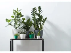 Elho Blumentopf Brussels Rund Mini Ø 12,5 weiß