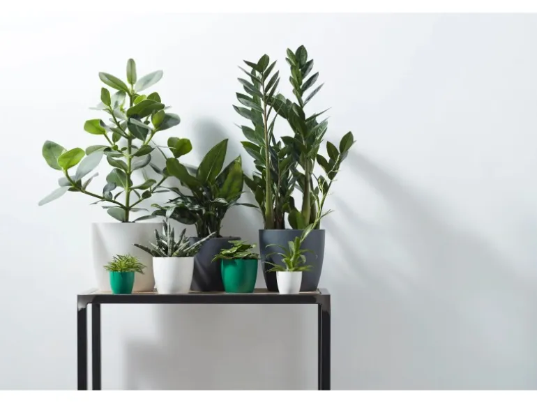 Elho Blumentopf Brussels Rund Mini Ø 12,5 weiß