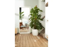 Elho Blumentopf Brussels Rund mit Rollen Ø 40 cm weiß