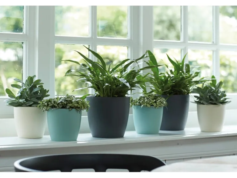 Elho Blumentopf Brussels Rund Ø 18 weiß