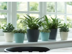 Elho Blumentopf Brussels Rund Ø 20 anthrazit