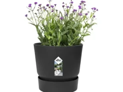 Elho Blumentopf Greenville Rund 14 cm Living Schwarz