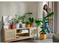 Elho Blumentopf Jazz Ø 23,1 cm x 21,5 cm Warmes Gelb