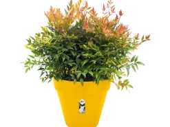 Elho Blumentopf Loft Urban Rund mit Rollen Ø 48,5 cm Ocker