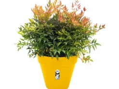 Elho Blumentopf Loft Urban Rund mit Rollen Ø 38,5 cm Ocker