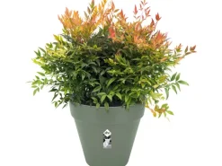 Elho Blumentopf Loft Urban Rund mit Rollen Ø 48,5 cm Pistaziengrün