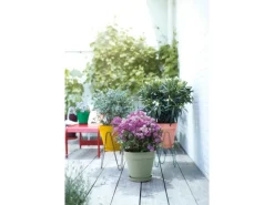 Elho Blumentopf Loft Urban Rund mit Rollen Ø 48,5 cm Pistaziengrün