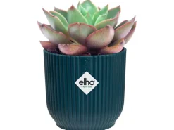 Elho Blumentopf Mini Vibes  Ø 9 cm Tiefes Blau