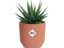 Elho Blumentopf Mini Vibes  Ø 7 cm Zartrosa