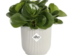 Elho Blumentopf Mini Vibes  Ø11 cm Seidenweiß