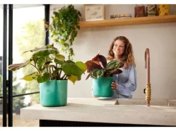 Elho Blumentopf Ocean Collection Ø 14 cm Pazifikgrün