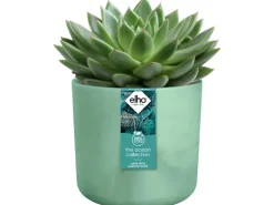 Elho Blumentopf Ocean Collection Ø 14 cm Pazifikgrün