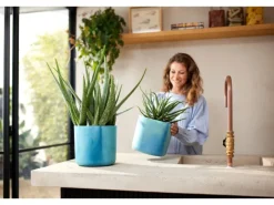 Elho Blumentopf Ocean Collection Ø 14 cm Pazifikgrün