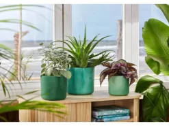 Elho Blumentopf Ocean Collection Ø 14 cm Pazifikgrün