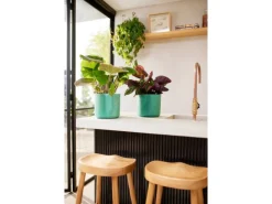 Elho Blumentopf Ocean Collection Ø 18 cm Atlantikblau