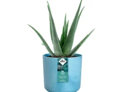 Elho Blumentopf Ocean Collection Ø 18 cm Atlantikblau