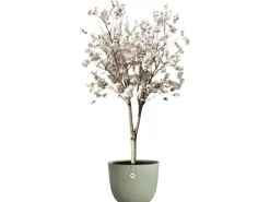 Elho Blumentopf Sereh Ø 47 cm x 40 cm Grün