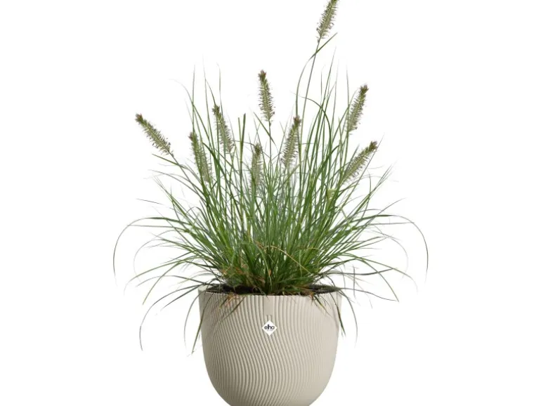 Elho Blumentopf Sereh Ø 30 cm x 25 cm Beige