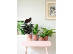 Elho Blumentopf Vibes Fold Ø 14 cm x 13 cm Zartrosa