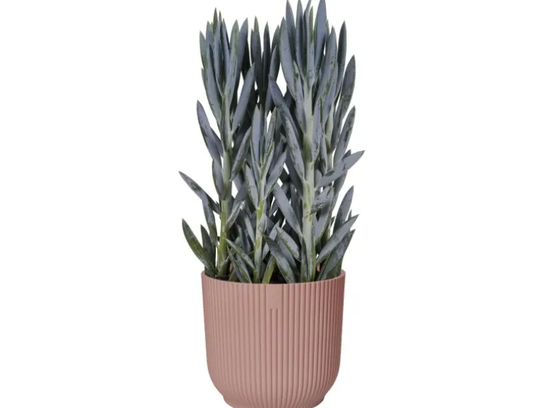 Elho Blumentopf Vibes Fold Ø 30 cm Zartrosa