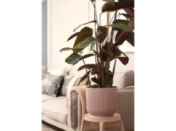 Elho Blumentopf Vibes Fold Ø 30 cm Zartrosa