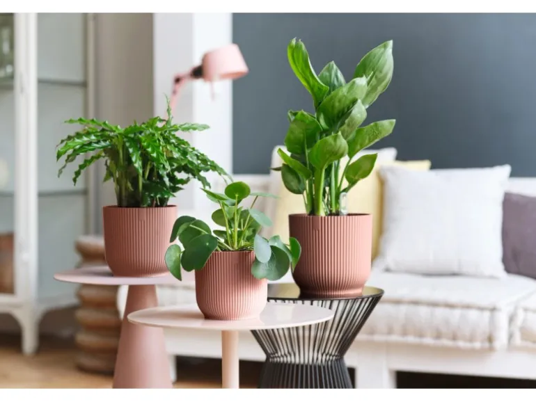 Elho Blumentopf Vibes Fold Ø 16 cm x 15 cm Zartrosa