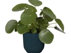 Elho Blumentopf Vibes Fold  Ø 30 cm Tiefes Blau