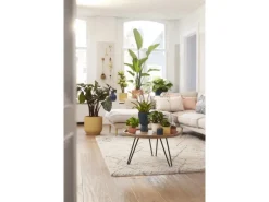 Elho Blumentopf Vibes mit Rollen Ø 34,9 cm Seidenweiß