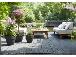 Elho Blumentopf Vibia Campana Ø 35 cm x 30 cm Anthrazit