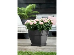 Elho Blumentopf Vibia Campana Viereckig 30 cm x 30 cm x 28 cm Anthrazit