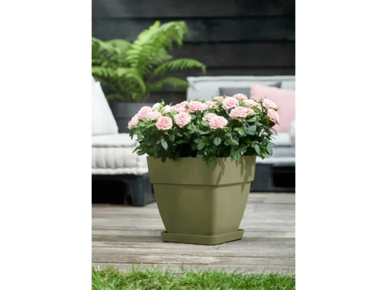 Elho Blumentopf Vibia Campana Viereckig 30 cm x 30 cm x 28 cm Salbeigrün