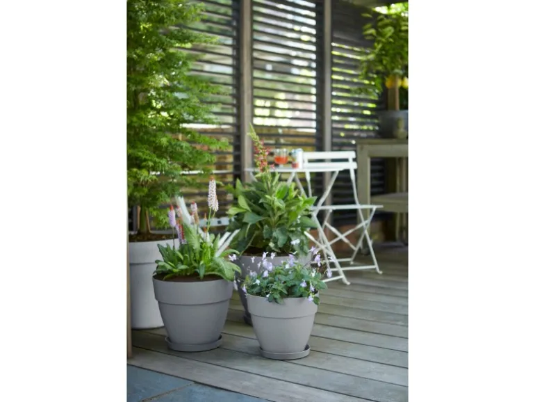 Elho Blumentopf Vibia Campana Ø 20 cm x 17 cm Living Beton