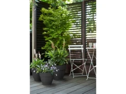 Elho Blumentopf Vibia Campana Ø 55 cm x 47 cm Anthrazit