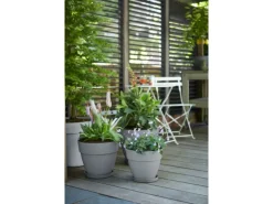 Elho Blumentopf Vibia Campana Ø 30 cm x 26 cm Living Beton