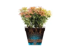 Elho Blumentopfschale Loft Urban Ø 35 cm x 20 cm Grün