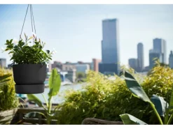 Elho Hängeampel Greenville Ø 24 cm x 20 cm Schwarz