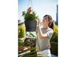 Elho Hängeampel Greenville Ø 24 cm x 20 cm Schwarz