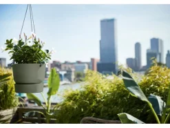 Elho Hängeampel Greenville Ø 24 cm x 20 cm Laubgrün