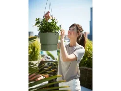 Elho Hängeampel Greenville Ø 24 cm x 20 cm Laubgrün