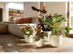 Elho Pflanzentopf Jazz 30 cm x 29,5 cm x 27 cm Weiß Seidenglanz