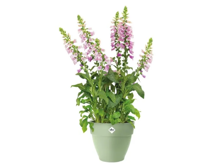 Elho Pflanzentopf Vibia Campana Ø 47 cm x 40 cm Pistaziengrün