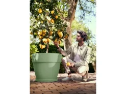 Elho Pflanzentopf Vibia Campana Ø 47 cm x 40 cm Pistaziengrün