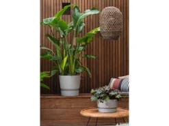 Elho Pflanzgefäß Greenville rund Ø 40 weiß